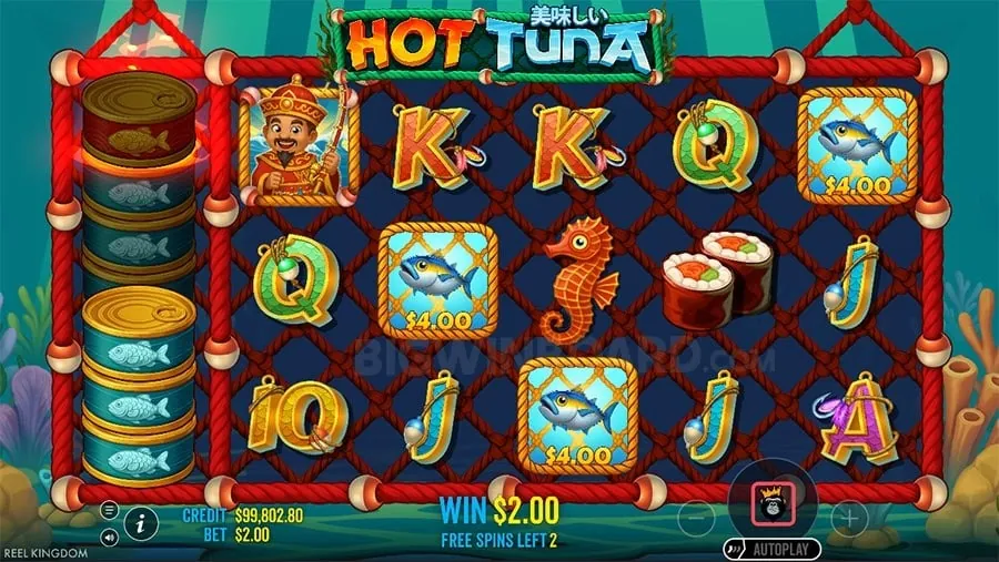 tg777 slot Avoiding Common Betting Mistakes
